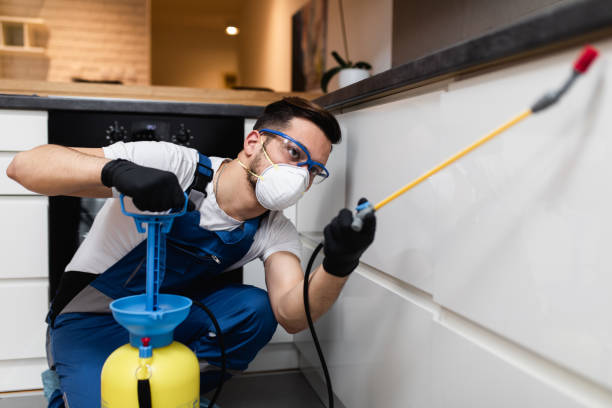 Best Affordable Pest Control Services  in North Weeki Wachee, FL