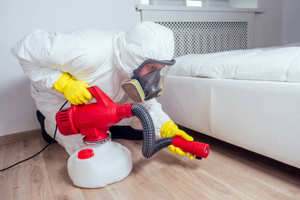 Trusted North Weeki Wachee, FL Pest Control Experts