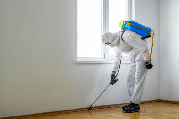 Best Local Pest Control Services  in North Weeki Wachee, FL