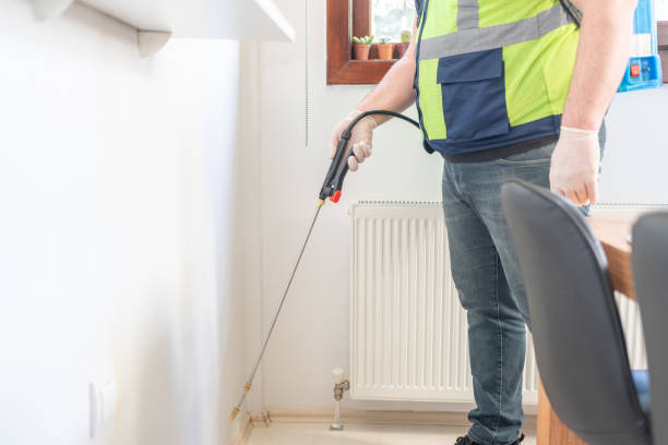 Best Termite Control Services  in North Weeki Wachee, FL