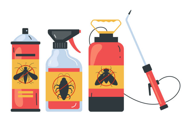 Best Ant Control Services  in North Weeki Wachee, FL