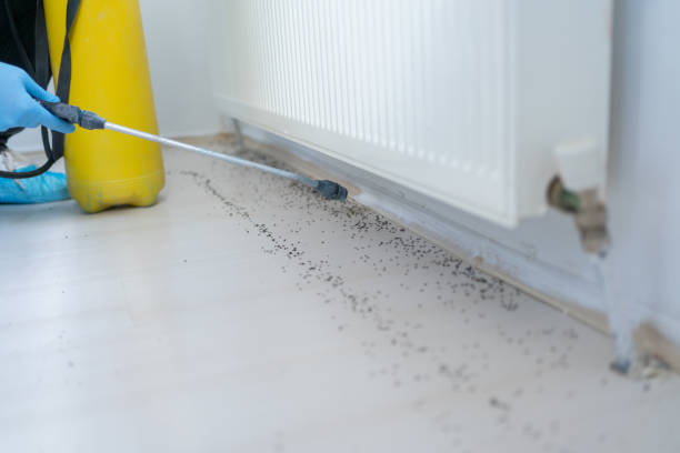 Best Residential Pest Control  in North Weeki Wachee, FL