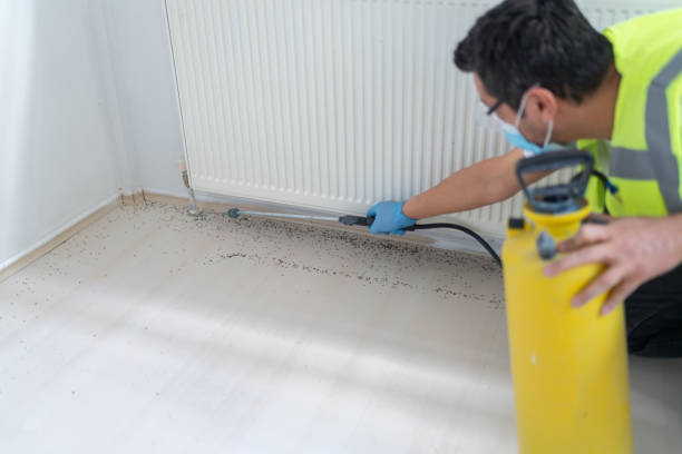 Best Best Pest Control Companies  in North Weeki Wachee, FL